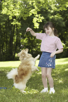 The intimate pet owner: surefire ways to get closer to your pet